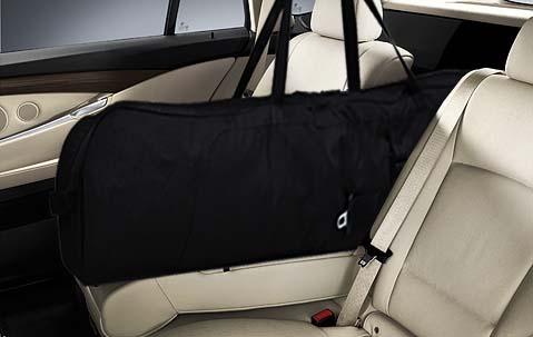 Ski Bag